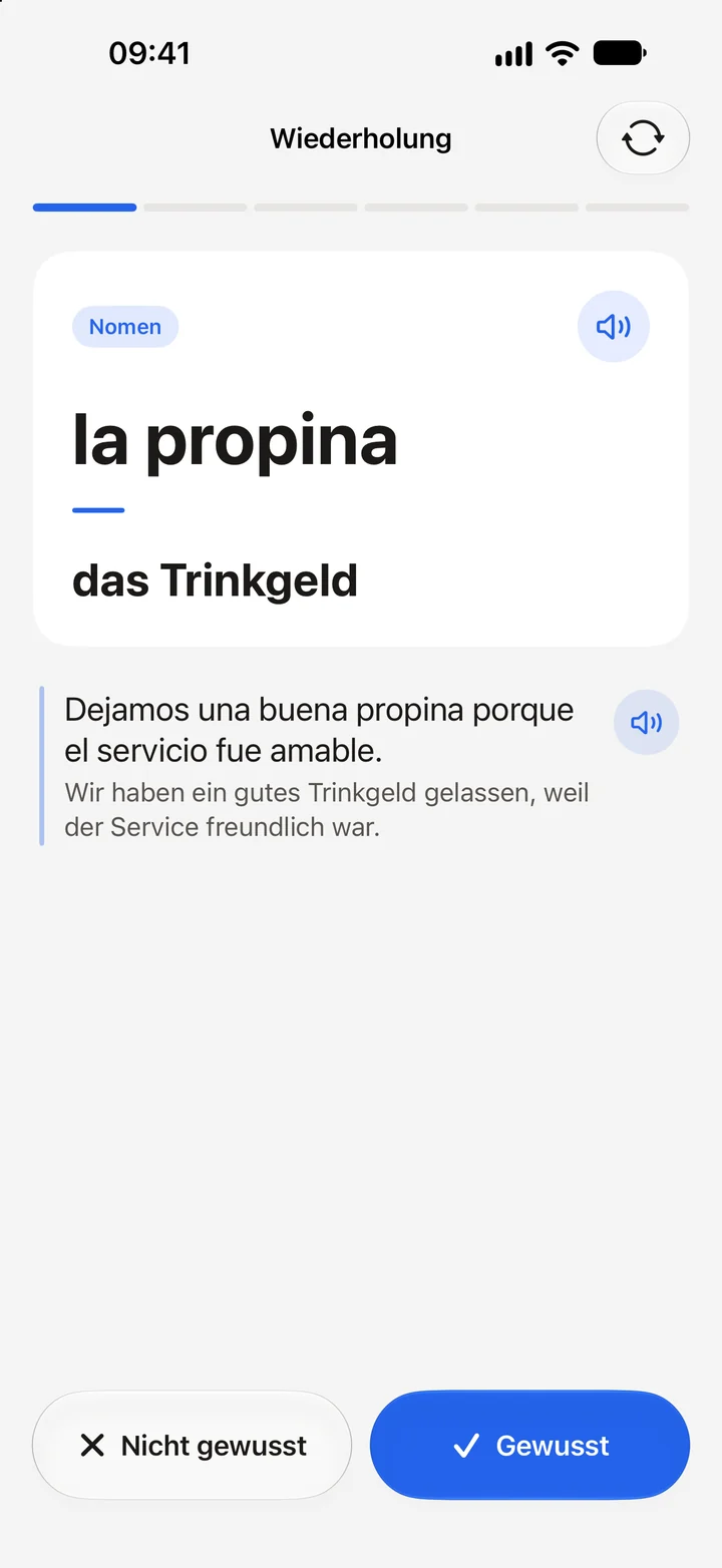 Vokabel-Wiederholung mit dem Wort la propina in seinem Satz.